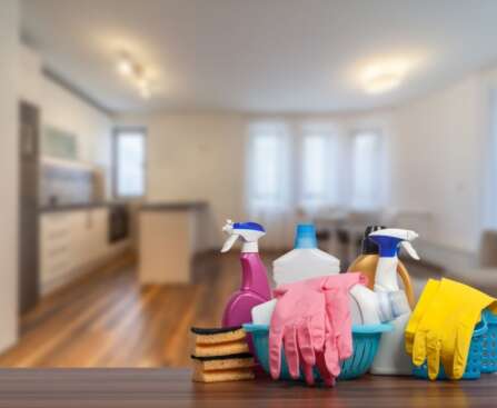 Why Vacate Cleaning Services are Essential for Property Handovers